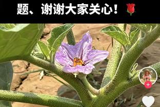 X因素！麦克布莱德11中4拿到9分&末节5分很强势