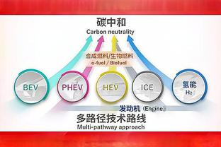 足球报：蓉城官宣11名新援阵容有质的飞跃，冲亚冠资格更有底气