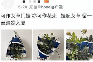 快别黑了！克洛普：人们越说曼联坏话他们就越强大，我不喜欢这样